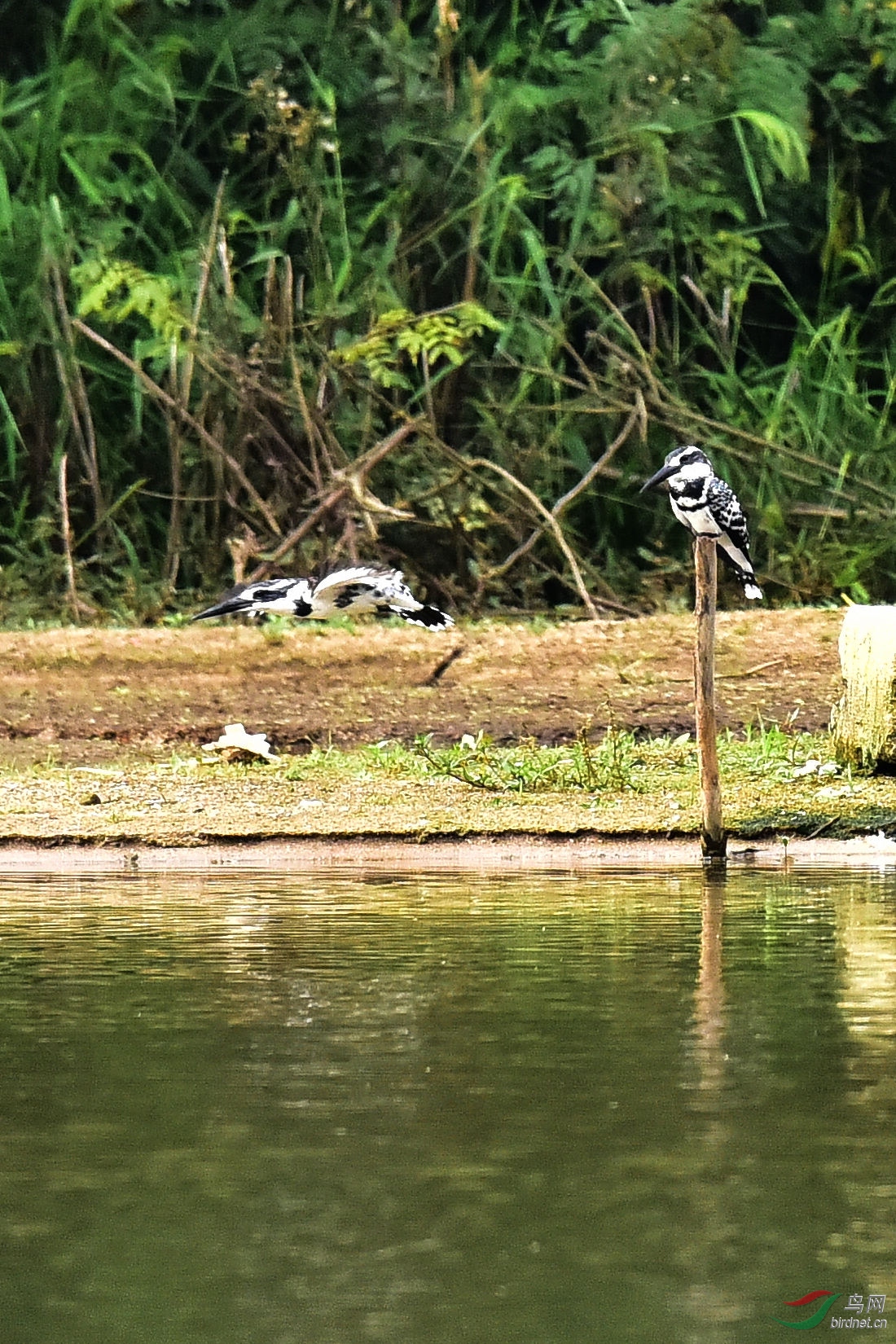 DSC_0634.JPG
