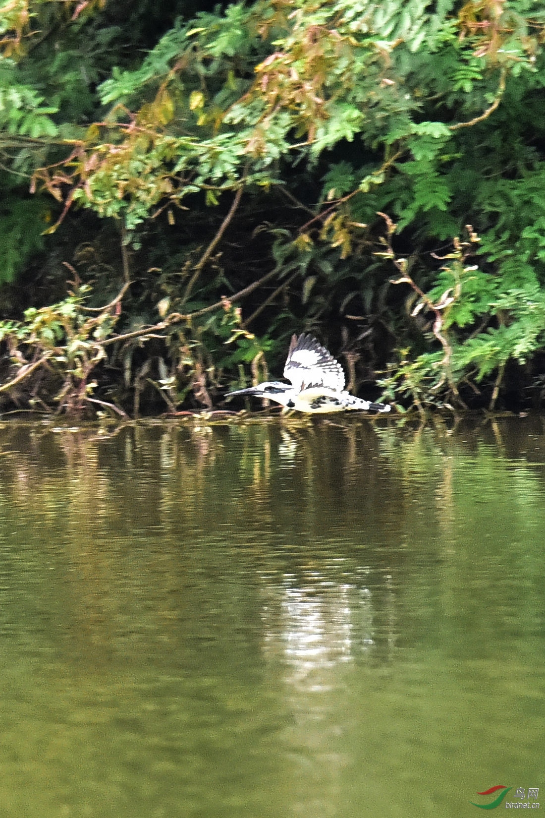 DSC_0637.JPG
