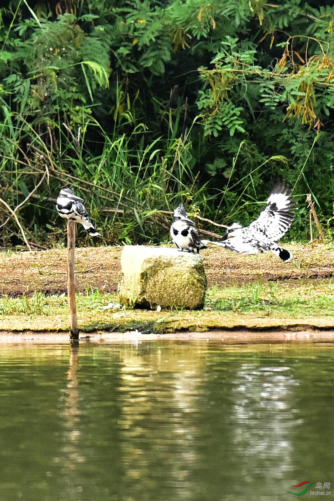 DSC_0642.JPG