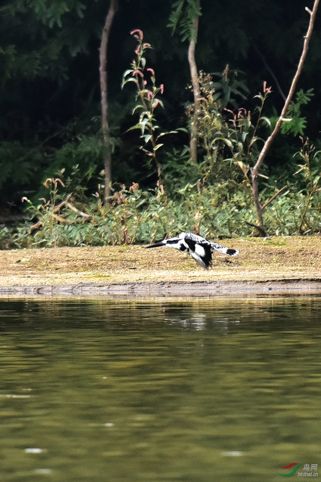 DSC_0653.JPG