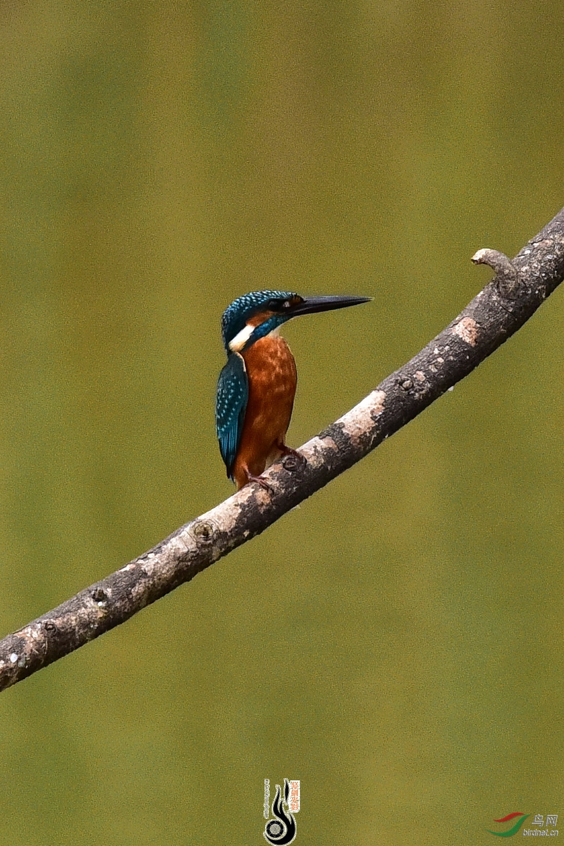DSC_0655.JPG