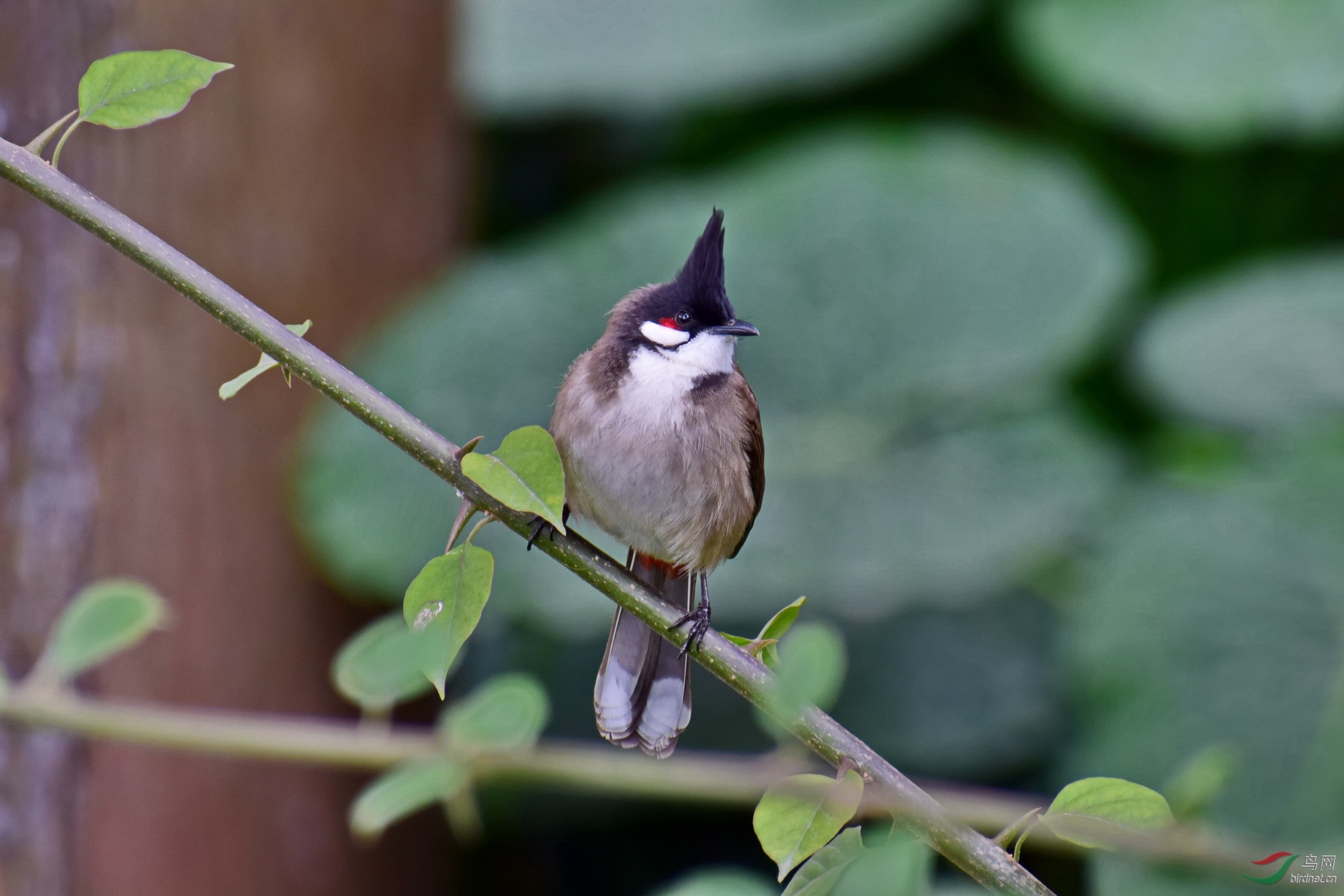 DSC_3615.JPG