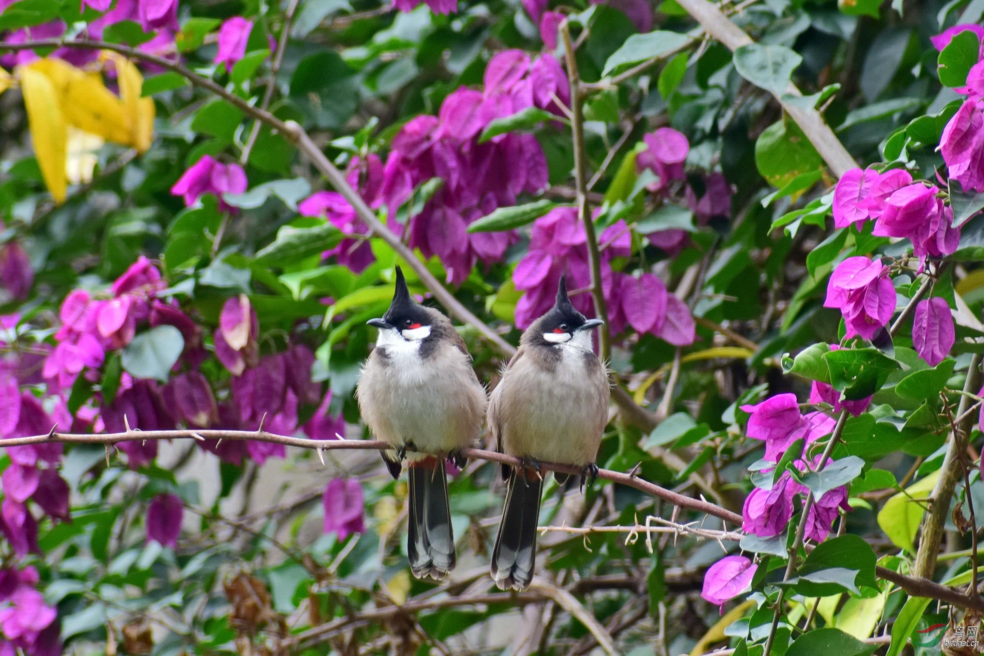 DSC_3604.JPG