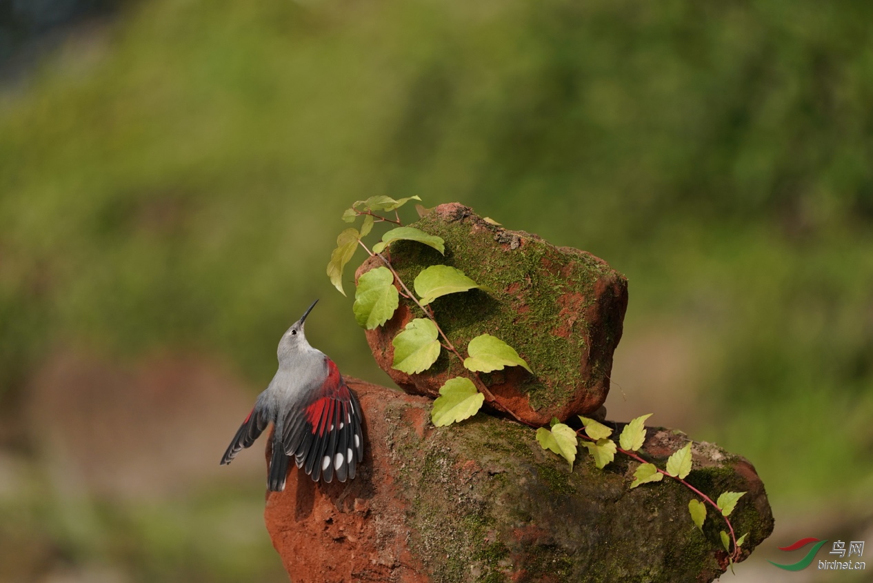 ͼƬ8 ����.jpg