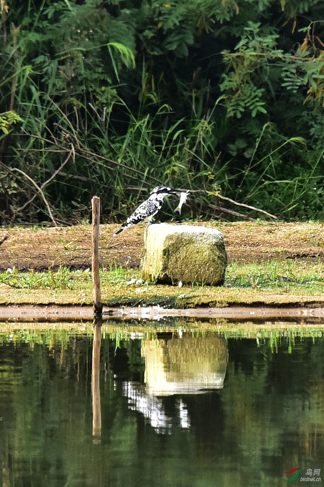 DSC_0666.JPG