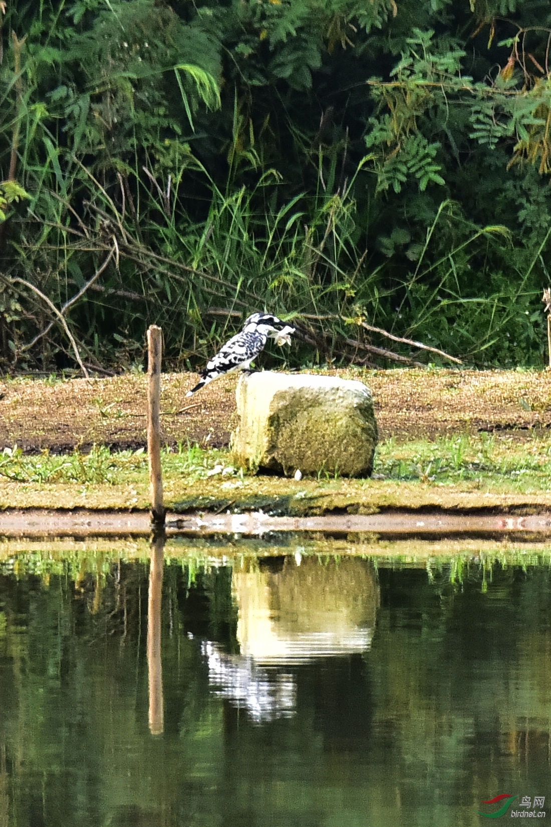 DSC_0671.JPG