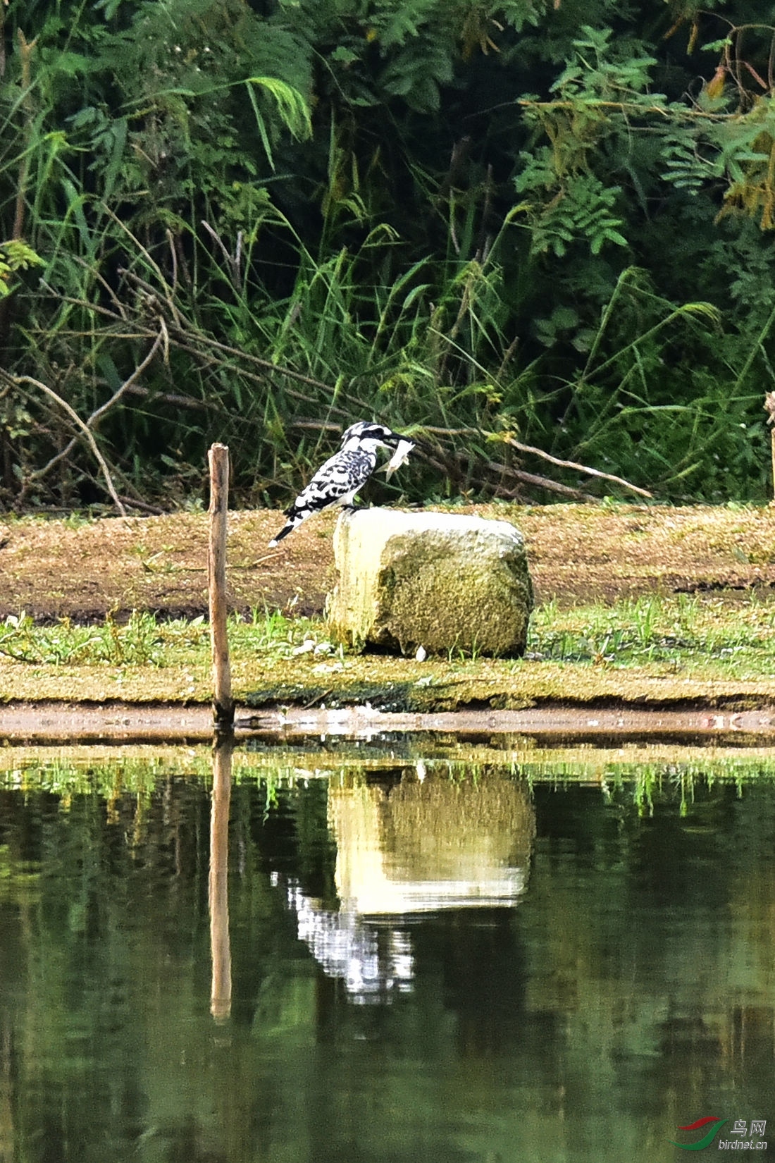 DSC_0672.JPG