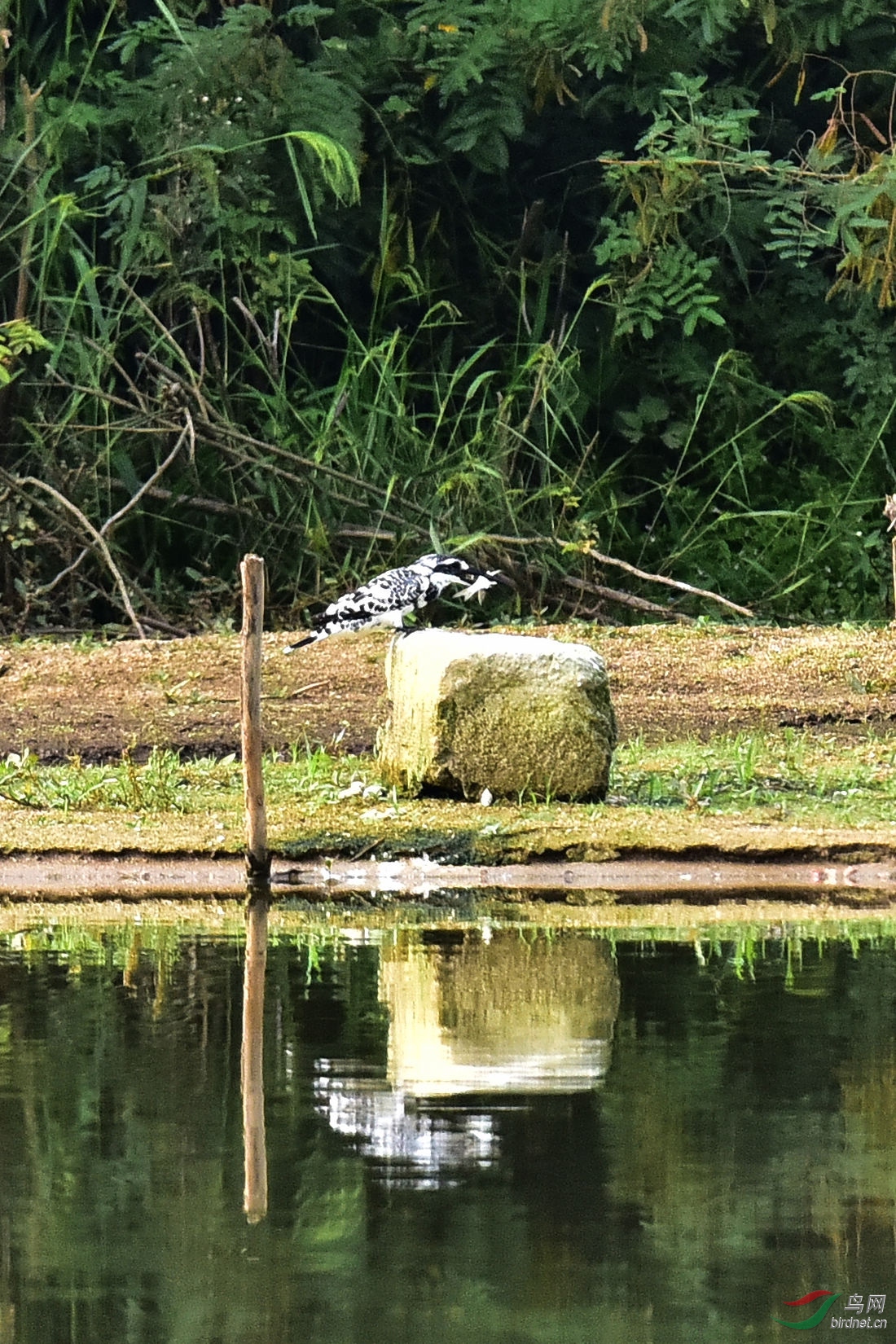 DSC_0673.JPG