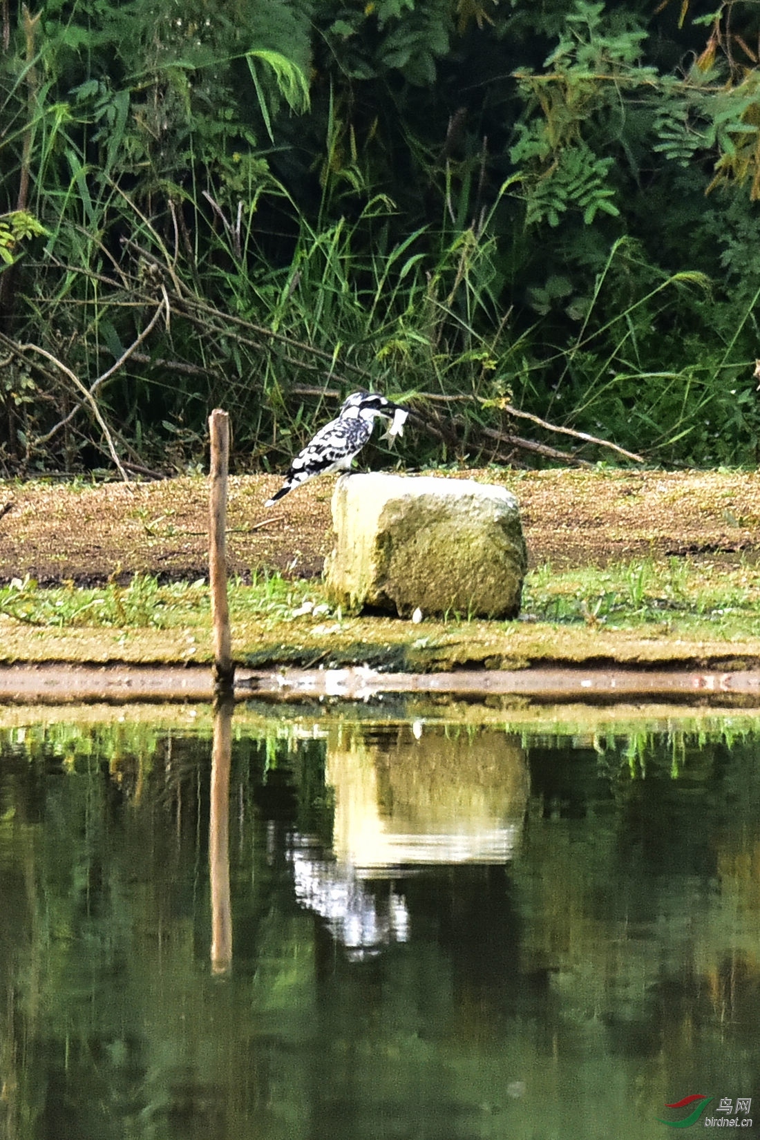 DSC_0674.JPG