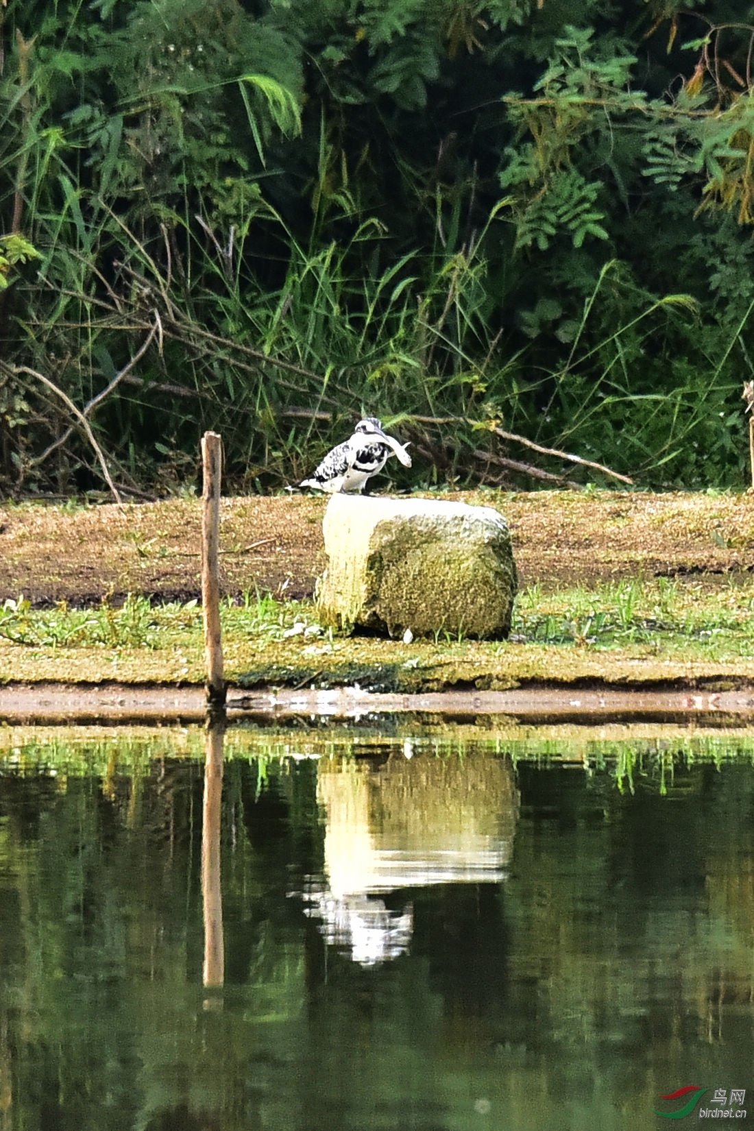 DSC_0675.JPG