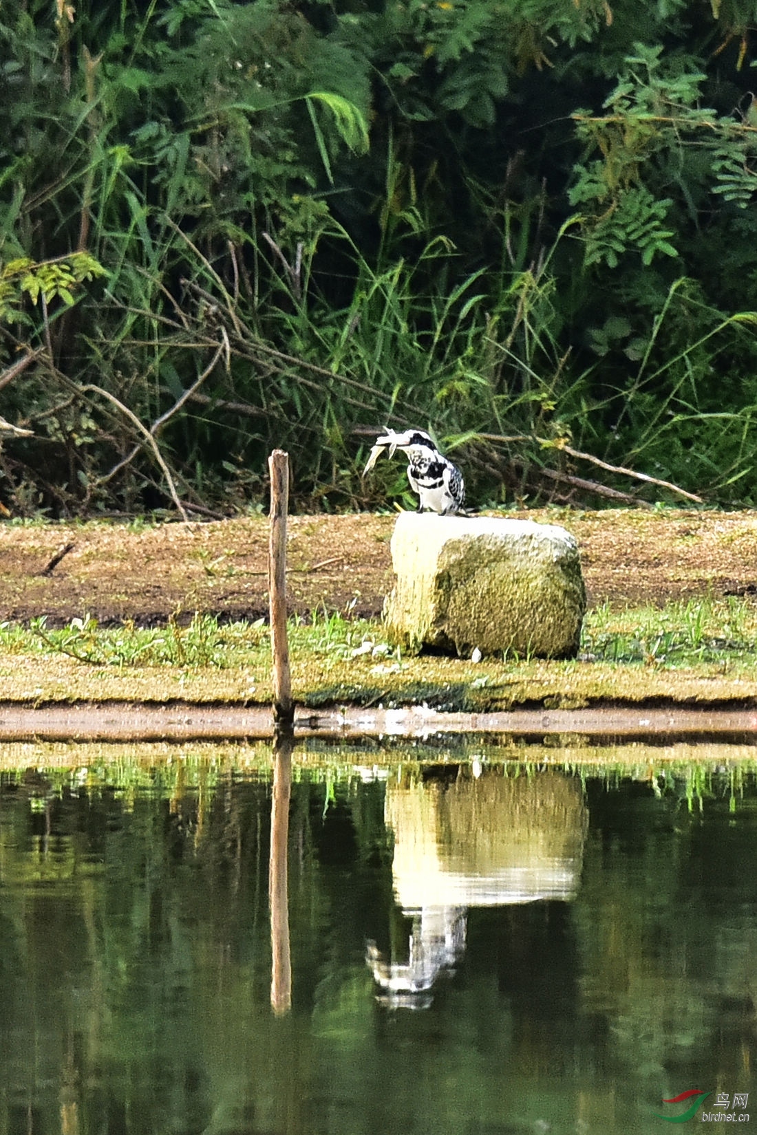 DSC_0677.JPG