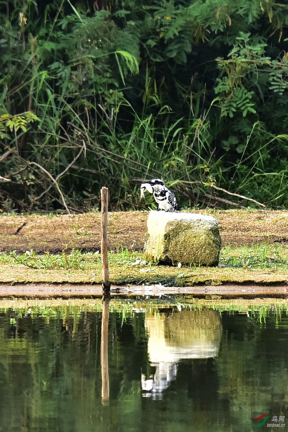DSC_0678.JPG