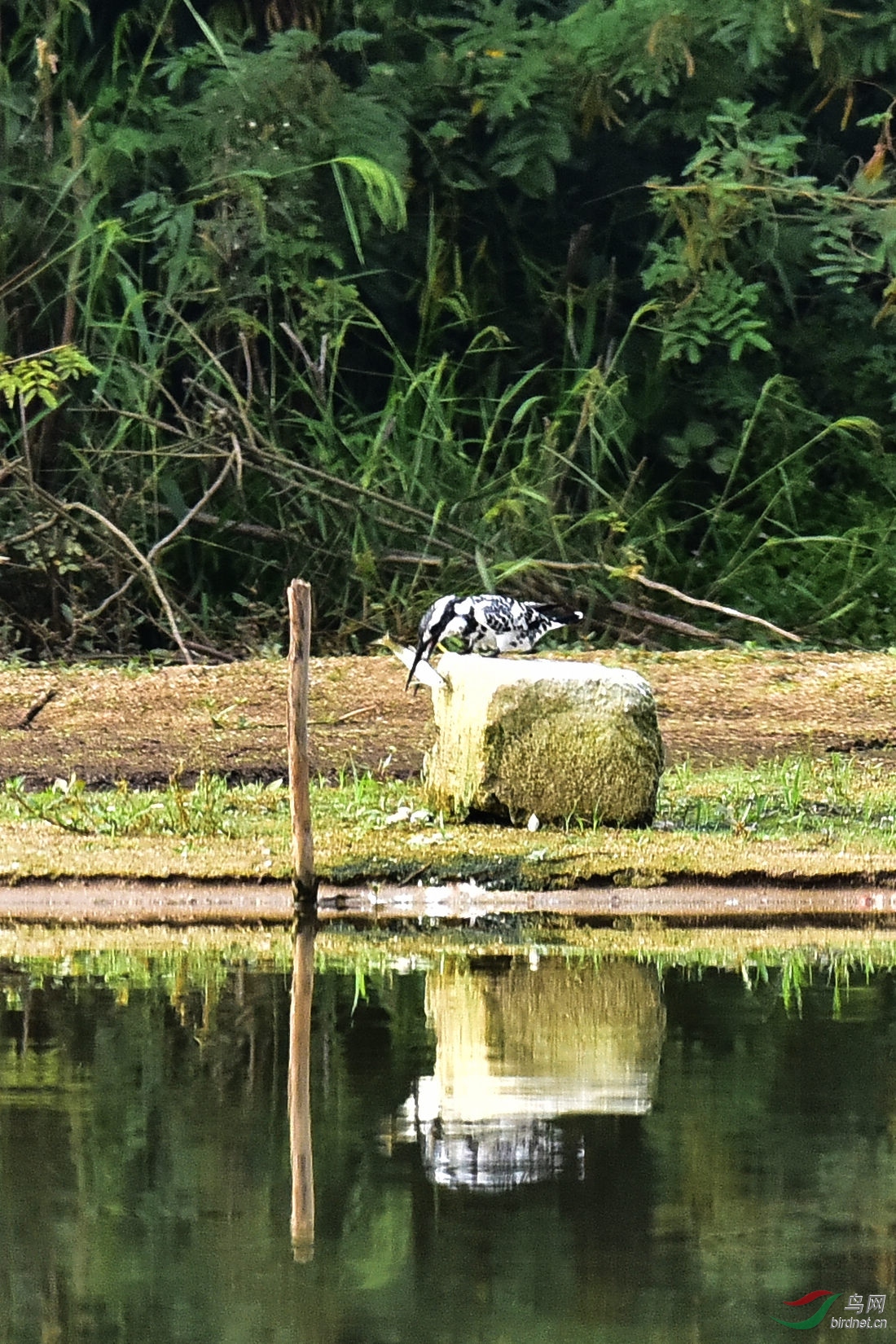 DSC_0679.JPG