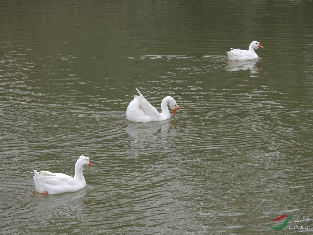 DSCN0019.JPG.jpg