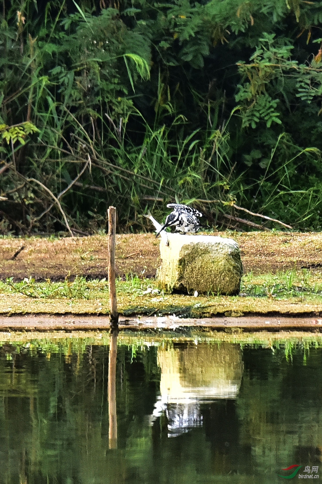 DSC_0683.JPG