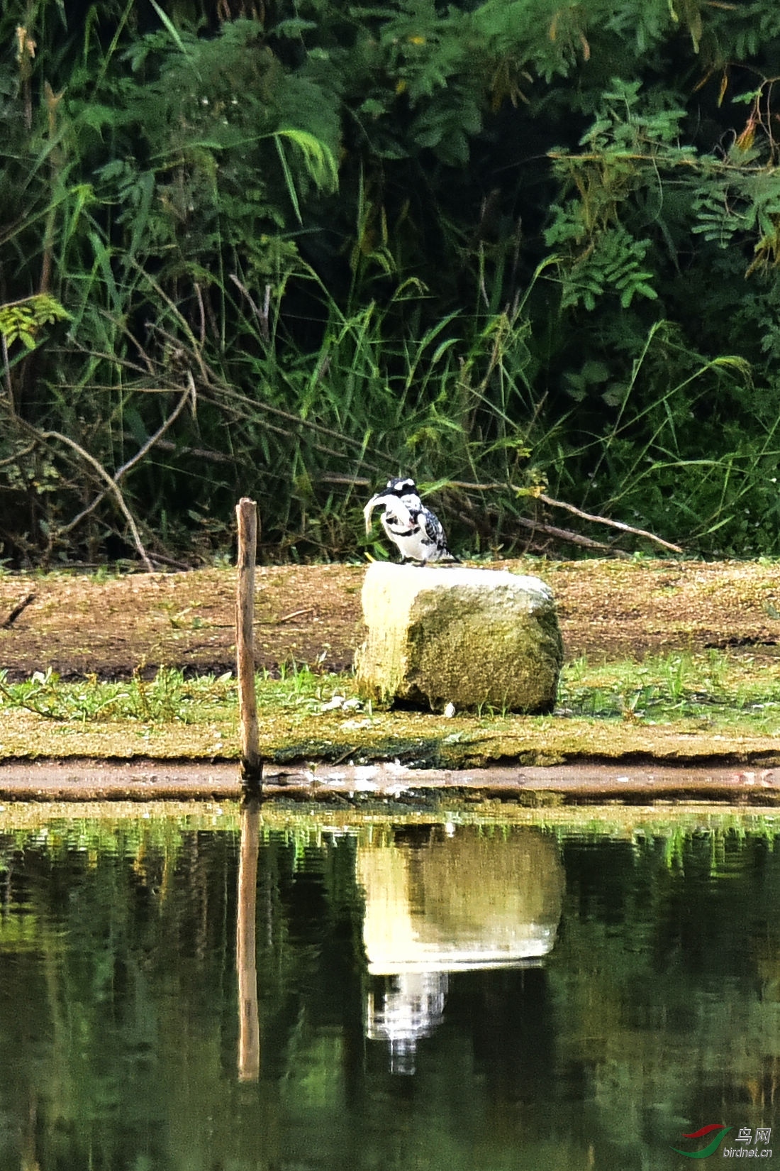 DSC_0690.JPG