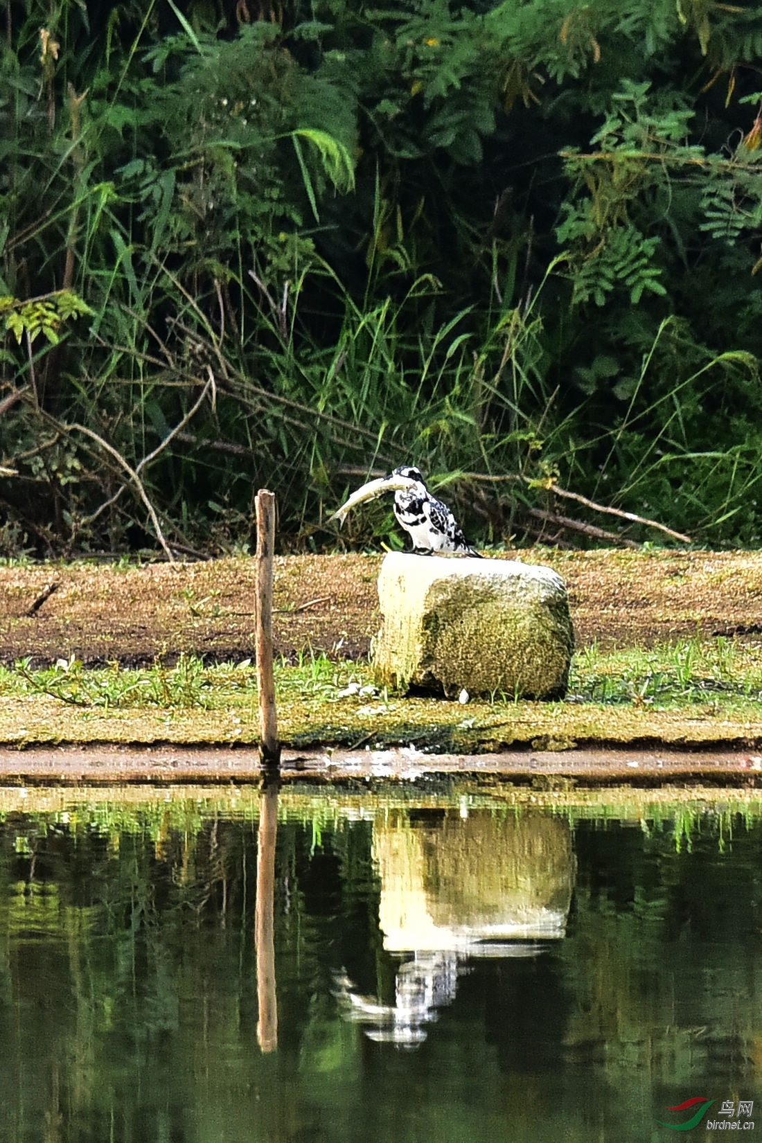 DSC_0694.JPG