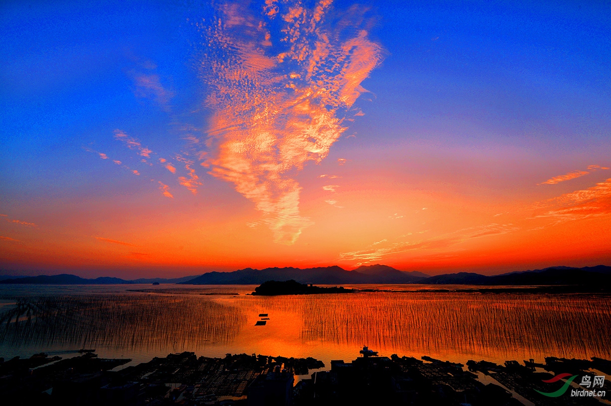 霞浦日出(花竹)6614am.jpg