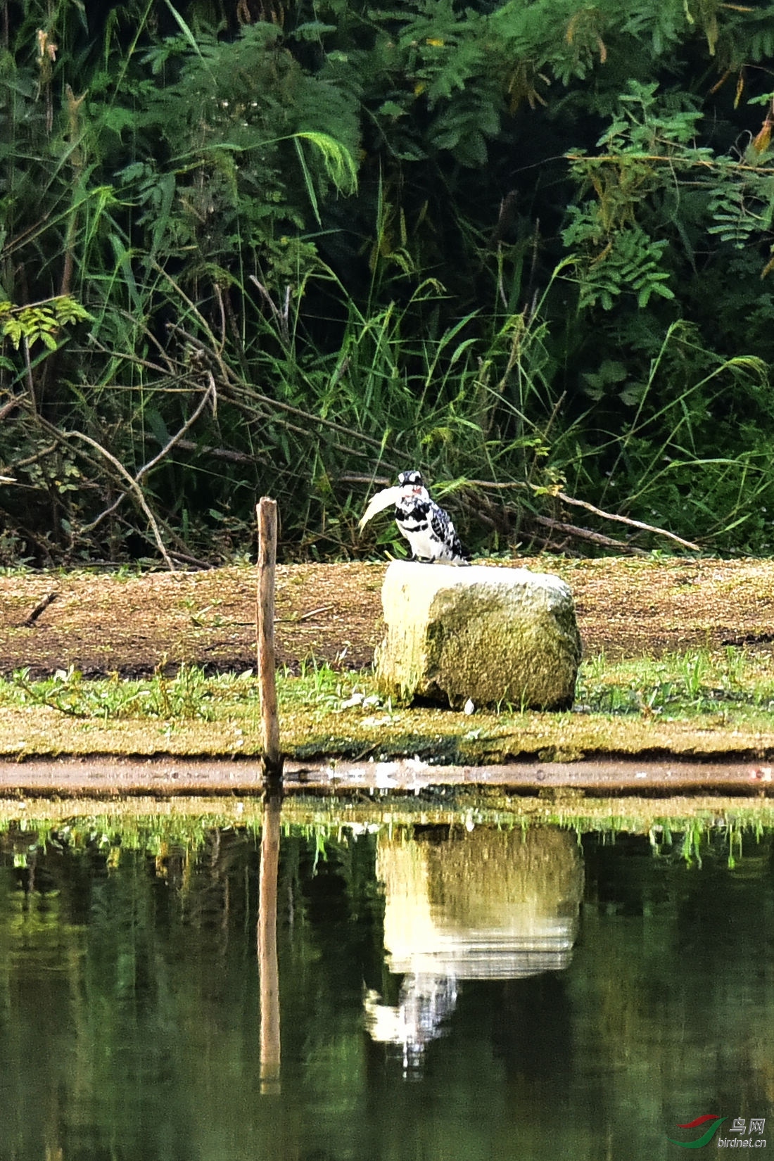 DSC_0715.JPG