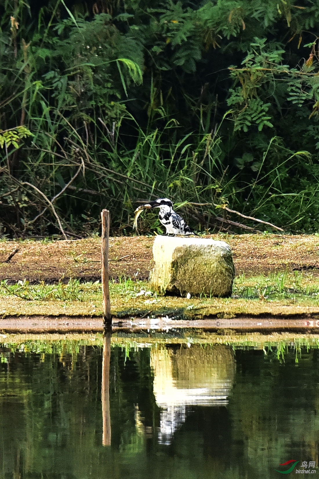 DSC_0719.JPG