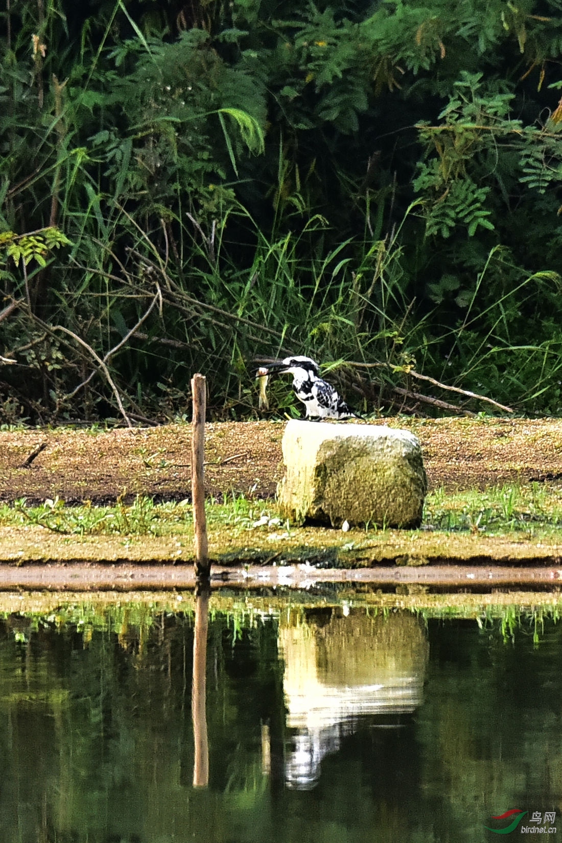 DSC_0720.JPG
