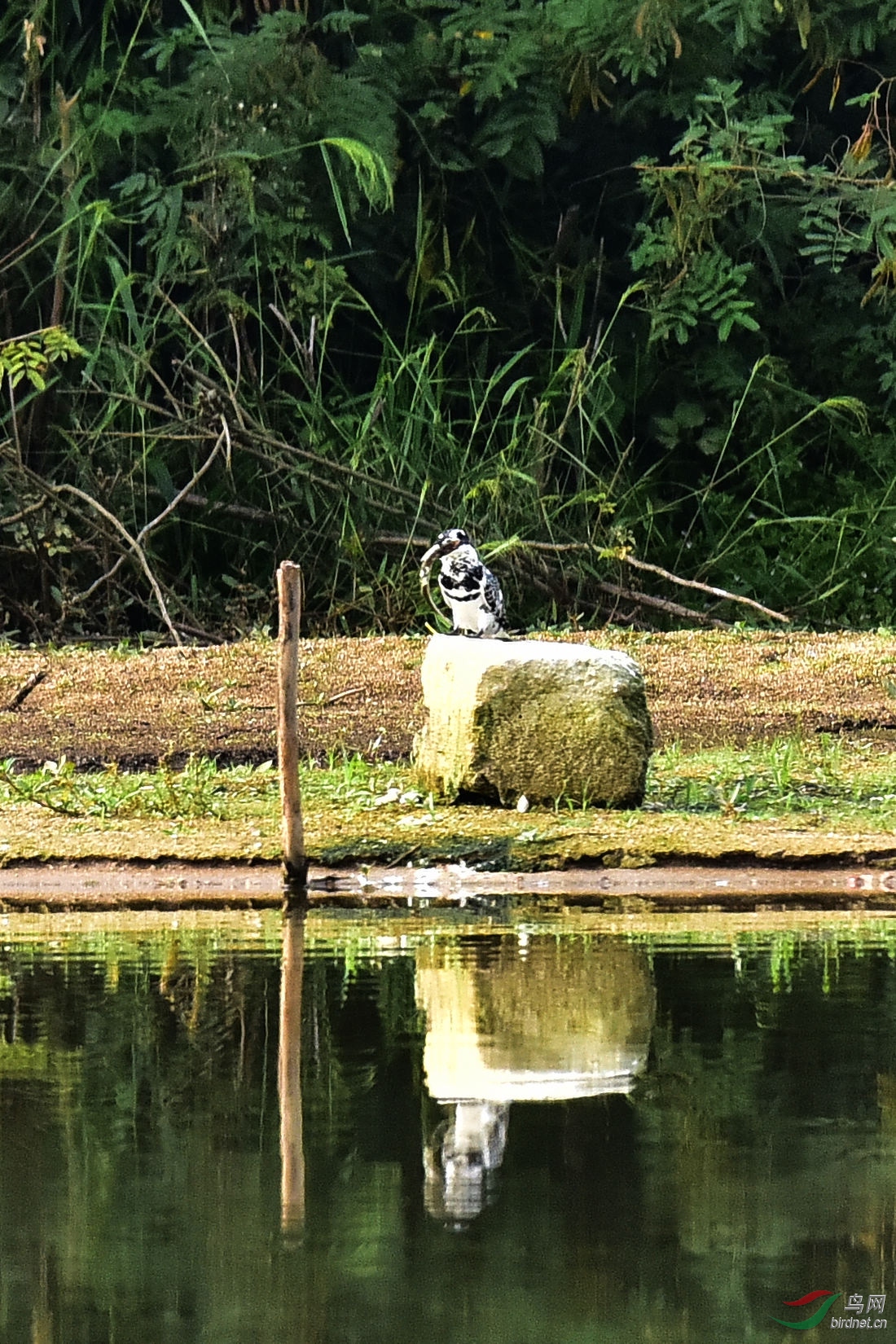 DSC_0728.JPG