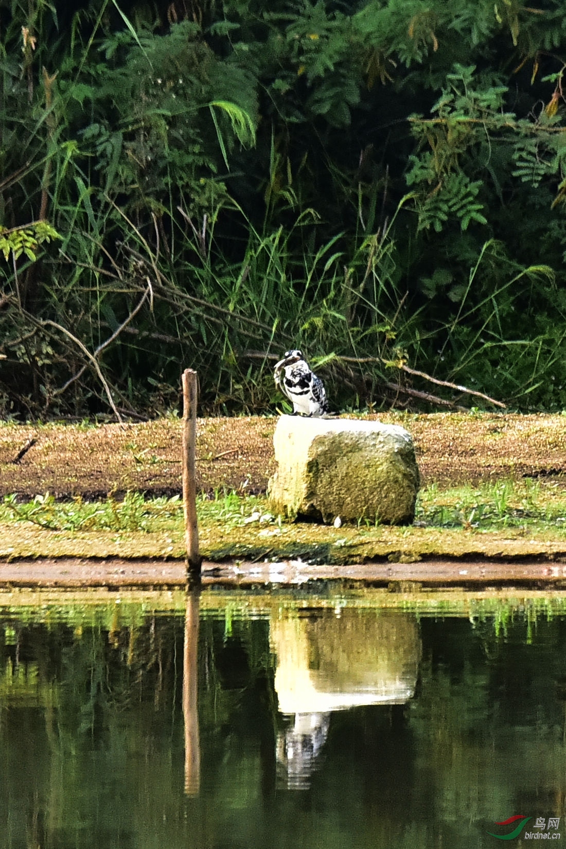 DSC_0730.JPG