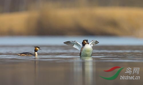 ET2W0358.jpg