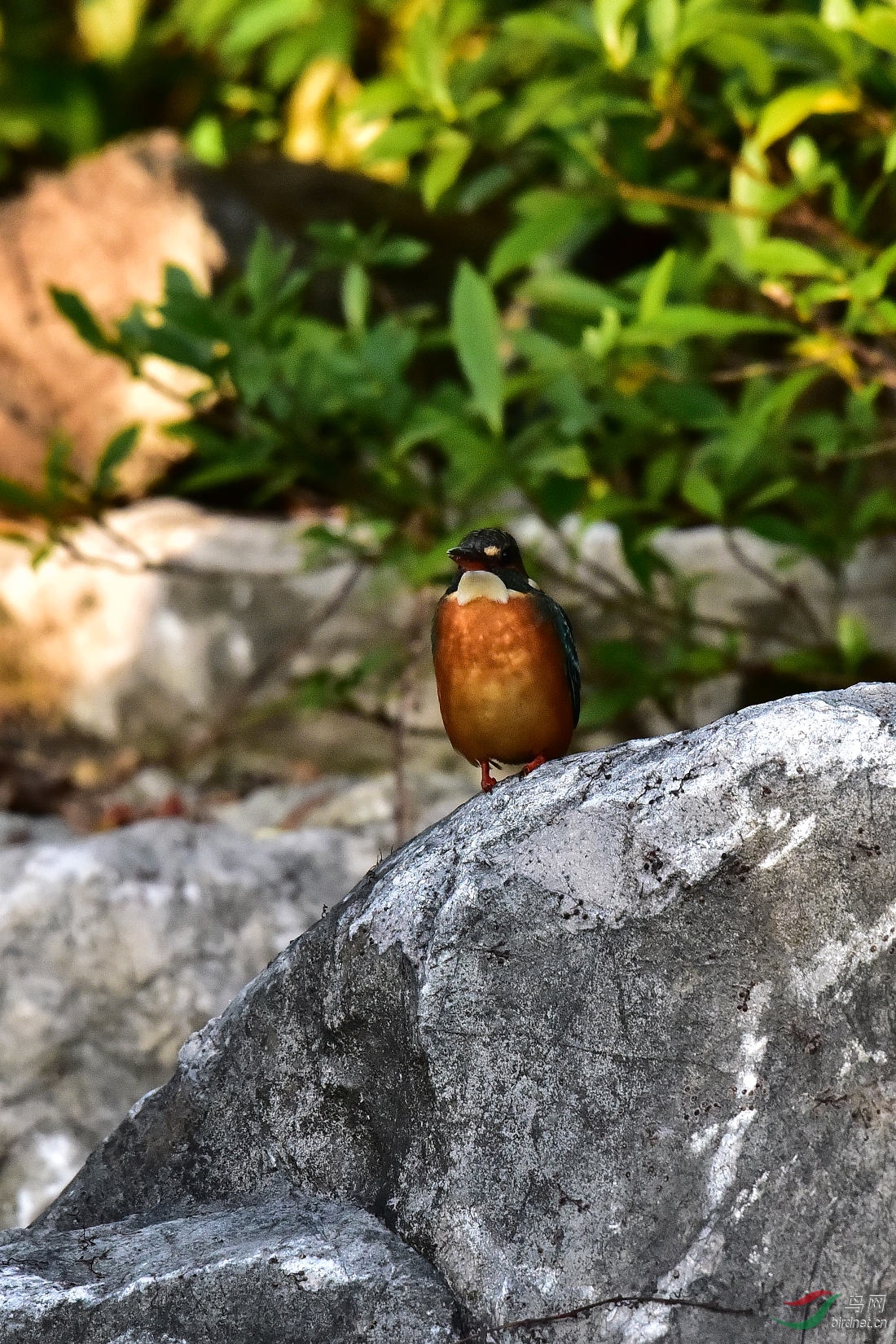 DSC_0738.JPG