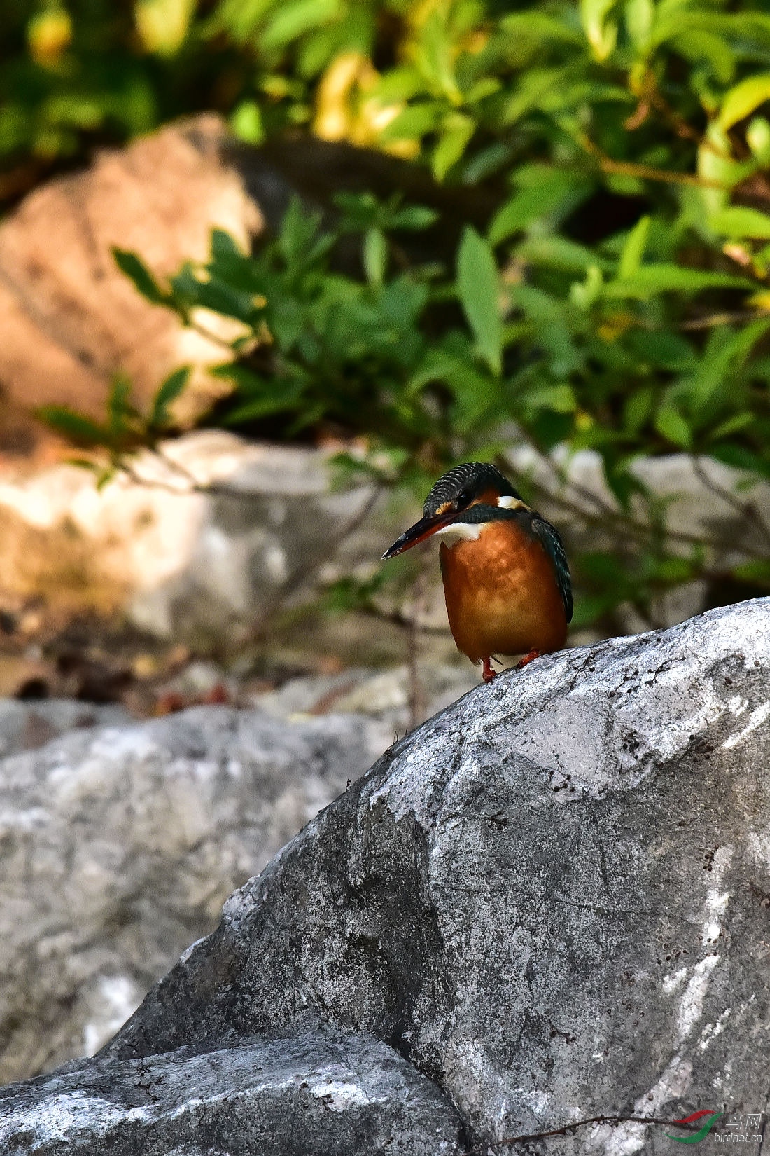DSC_0740.JPG