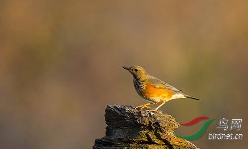 ET2W2391.jpg