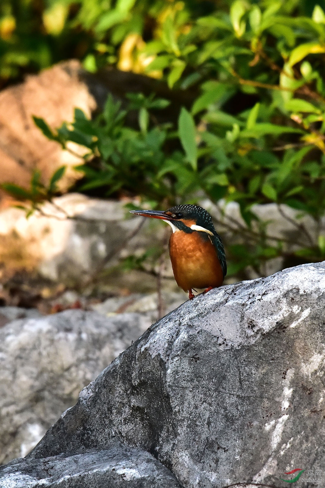 DSC_0741.JPG
