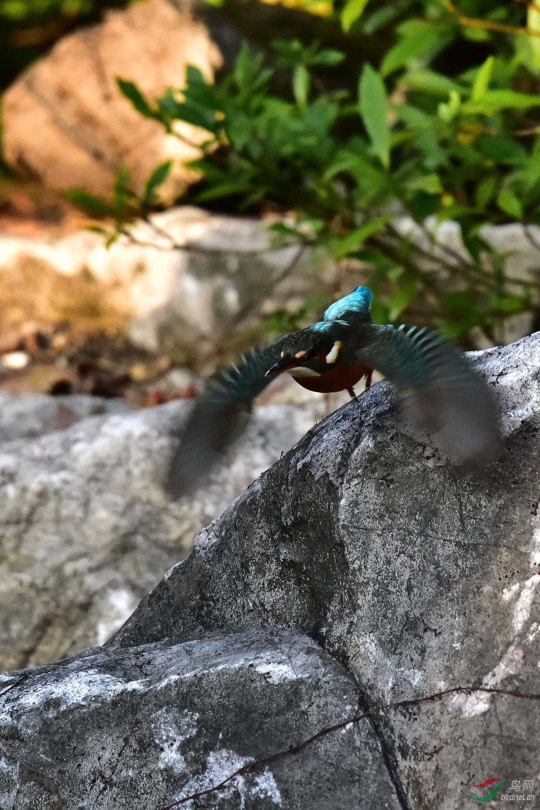 DSC_0743.JPG