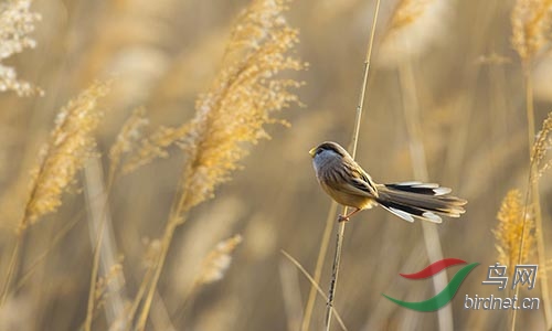 AM3T1361.jpg
