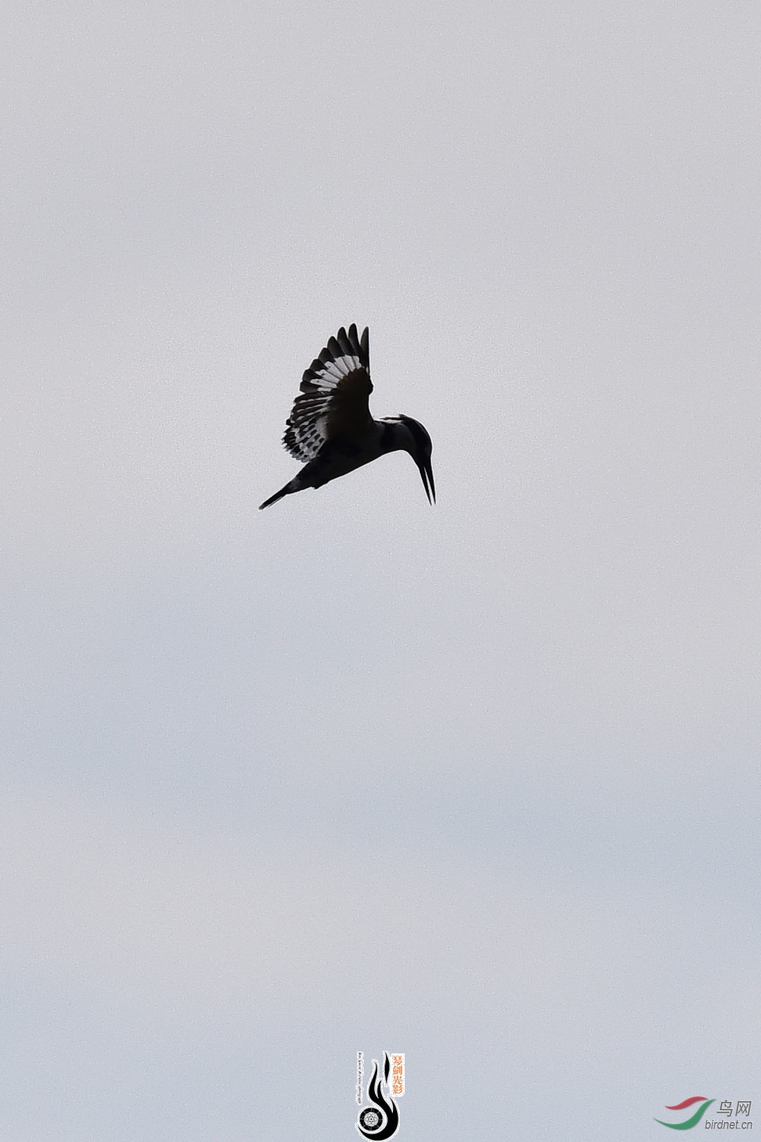 DSC_0746.JPG