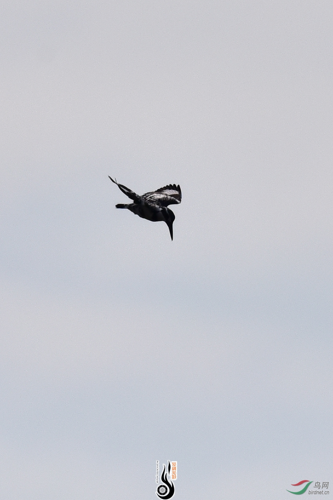 DSC_0748.JPG