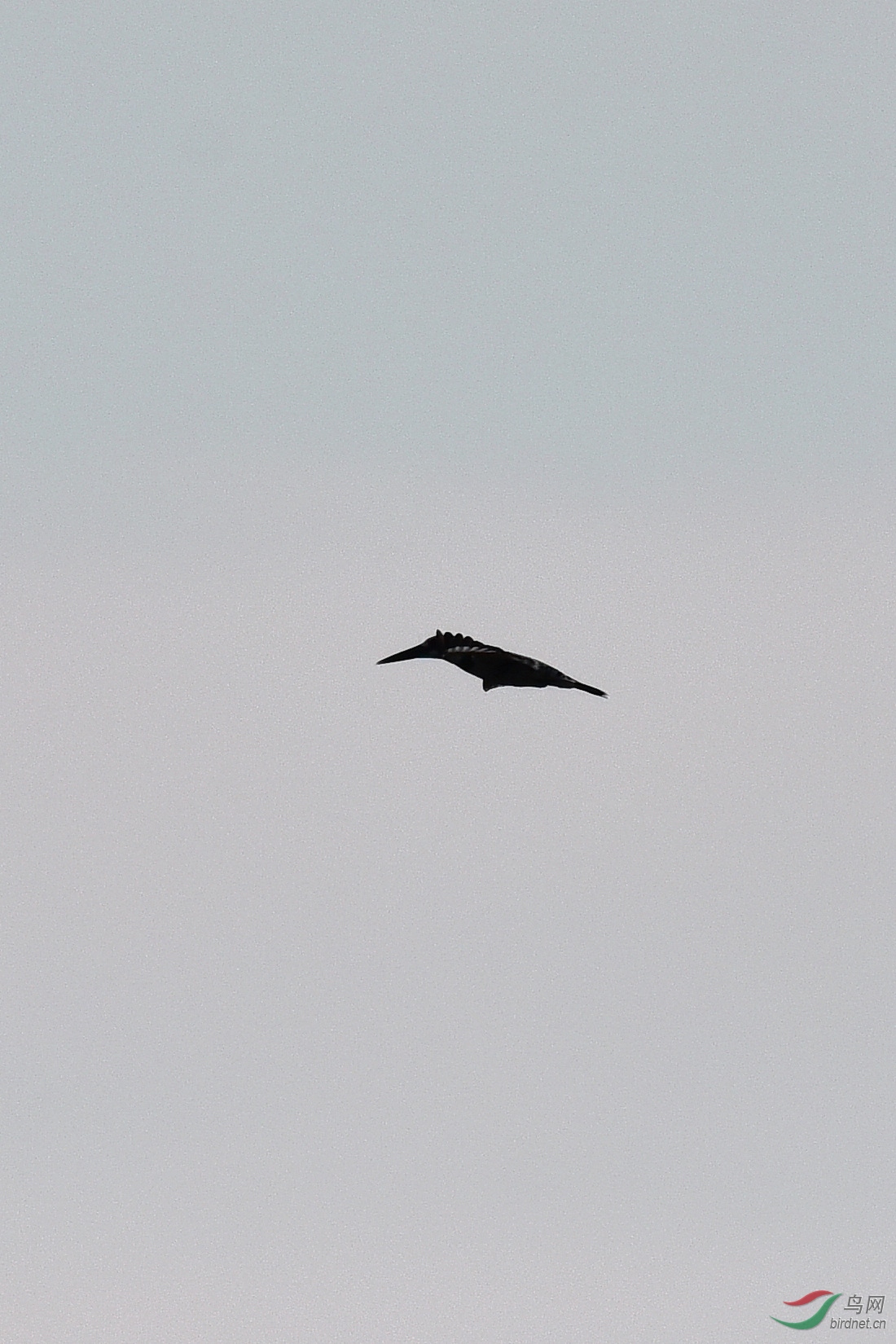 DSC_0751.JPG