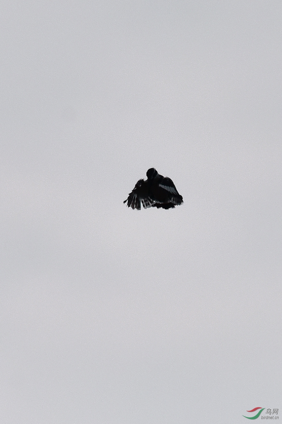 DSC_0756.JPG