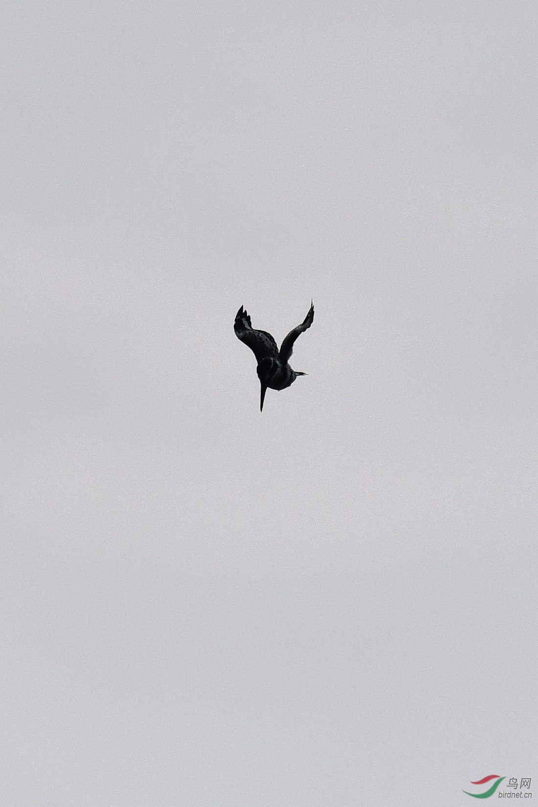 DSC_0757.JPG