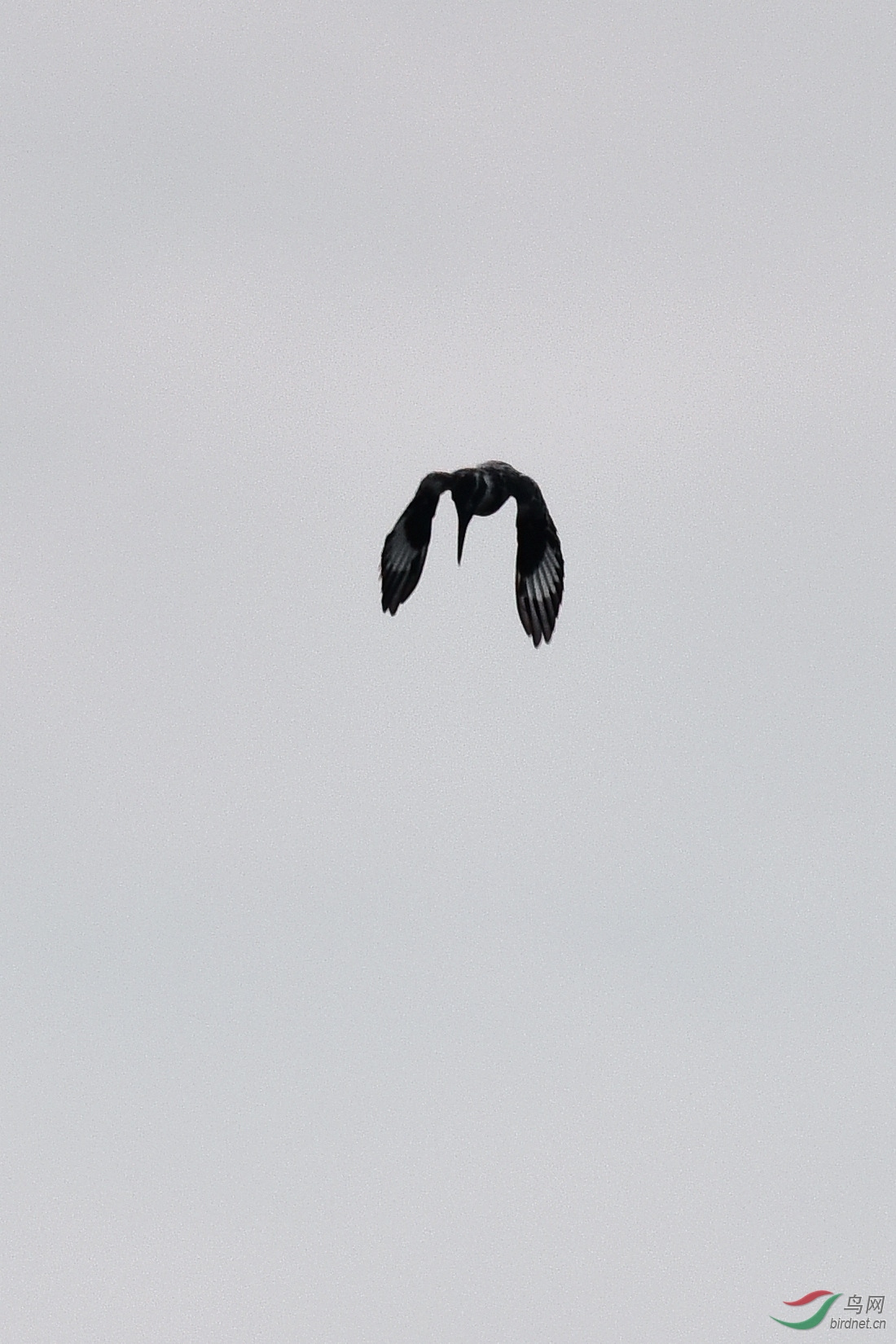 DSC_0758.JPG