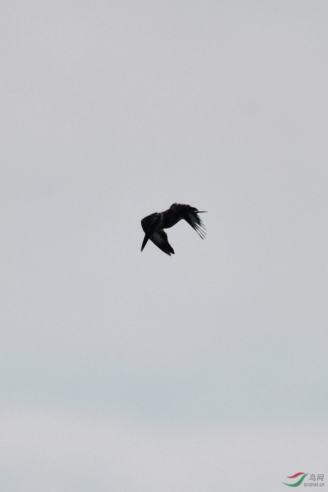 DSC_0759.JPG