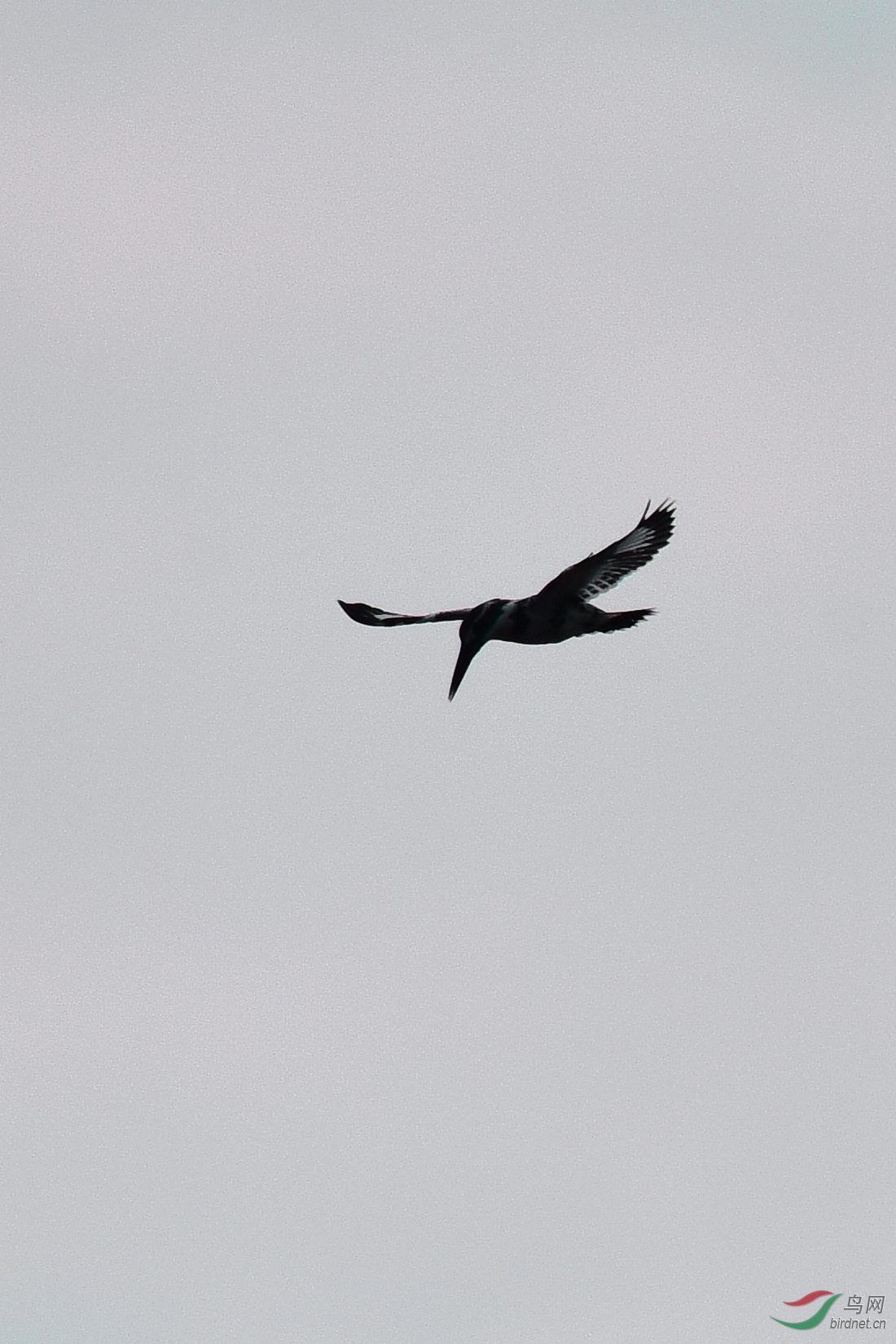 DSC_0760.JPG
