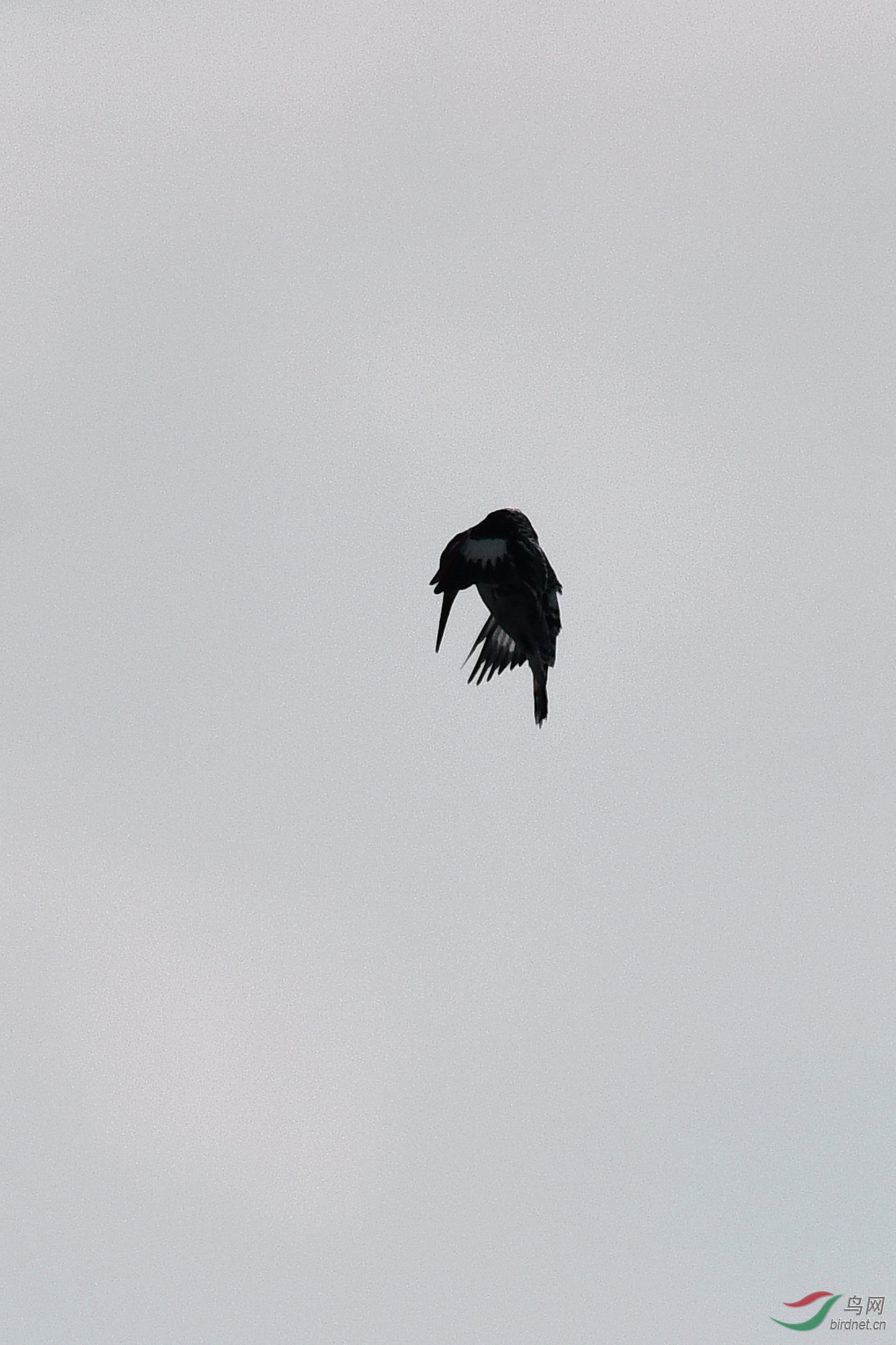 DSC_0763.JPG