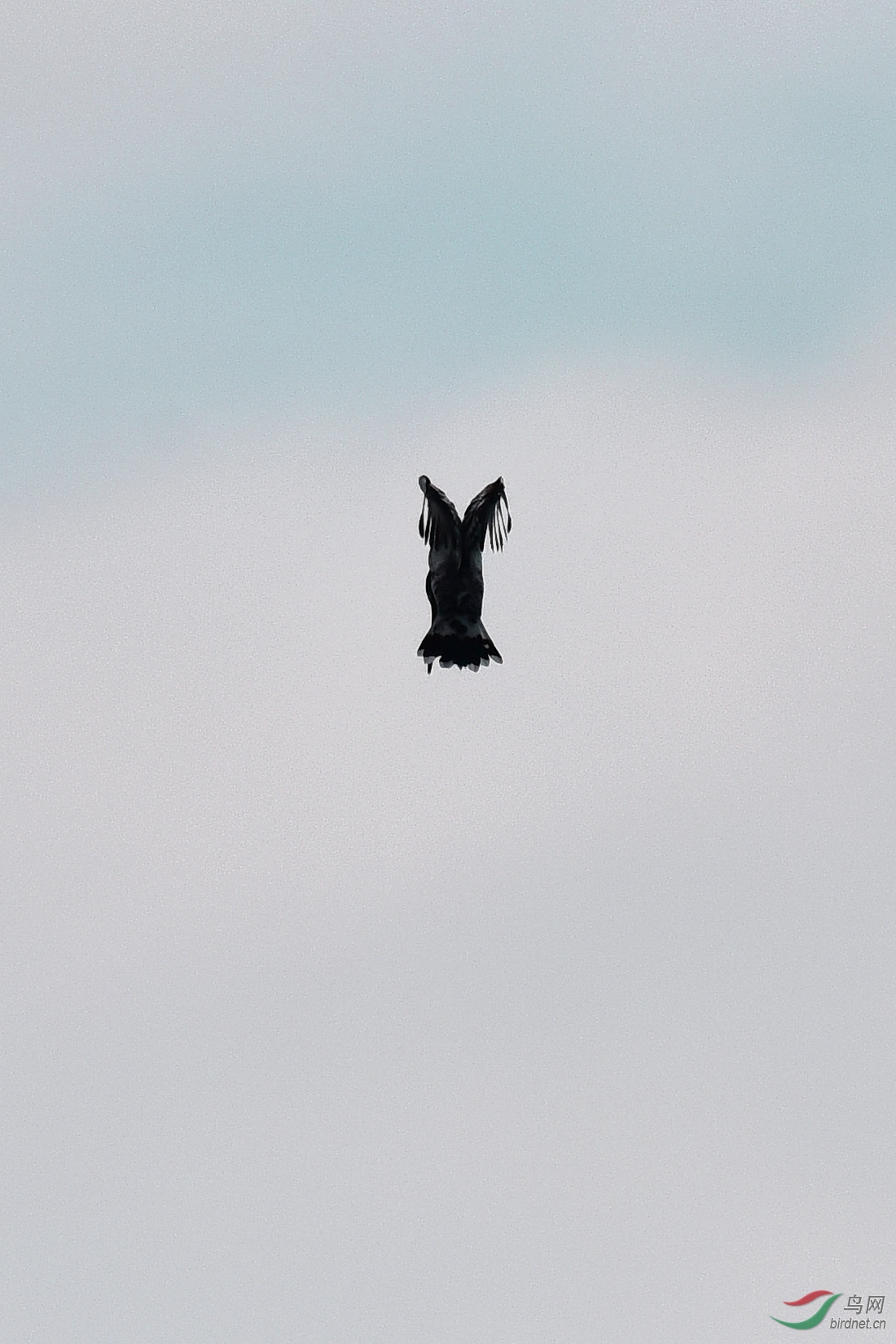 DSC_0768.JPG