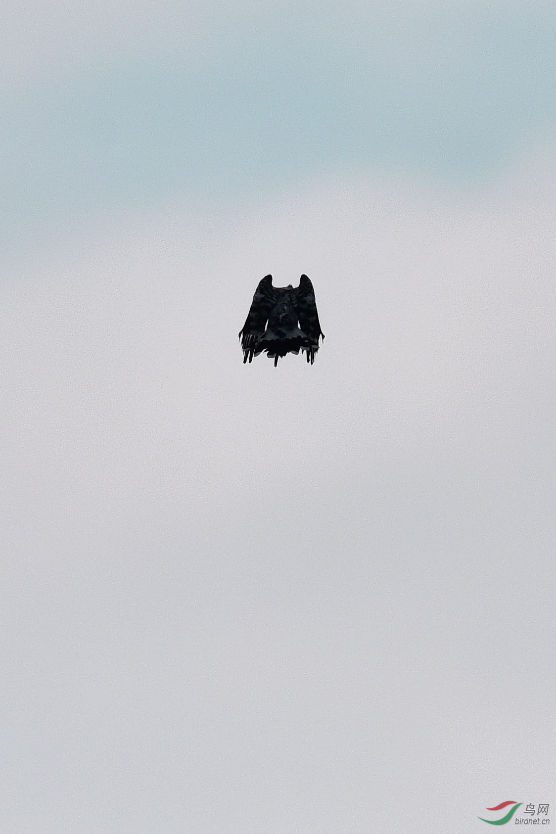 DSC_0772.JPG