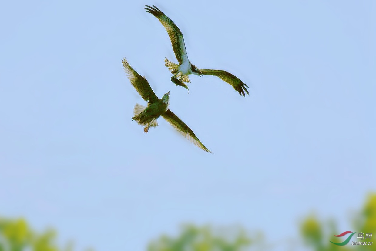 DSC_1429_����.jpg