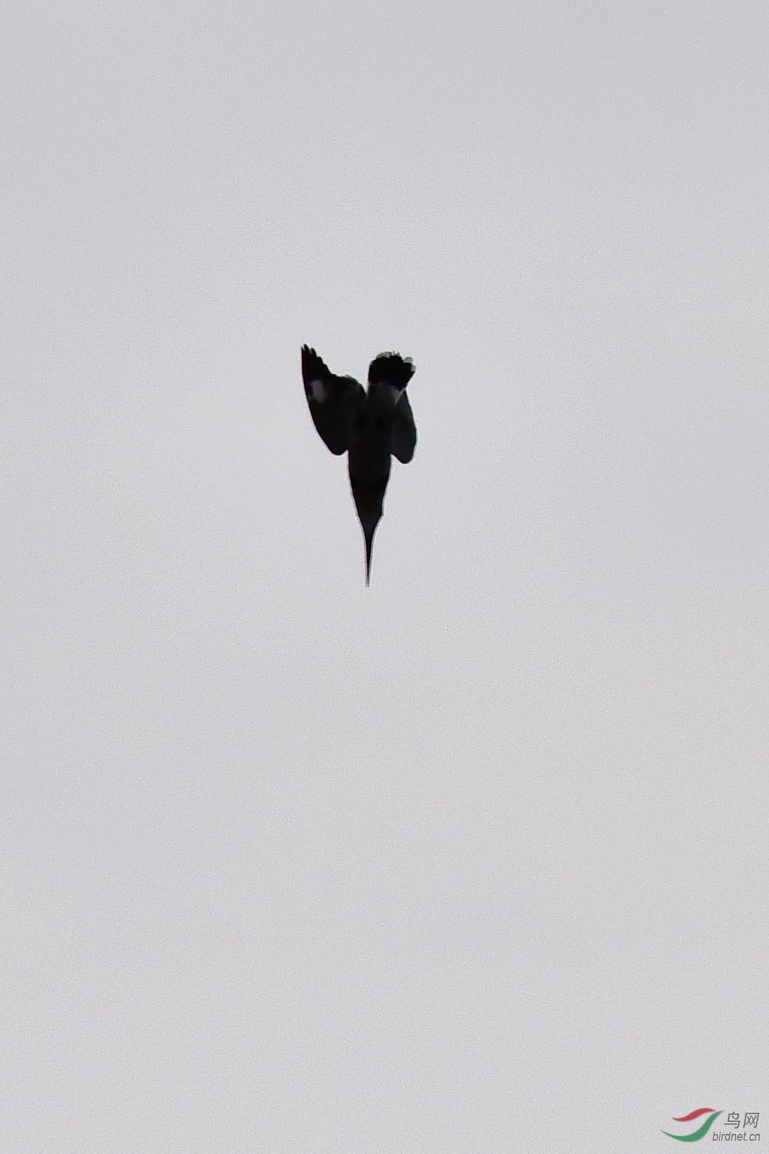 DSC_0777.JPG