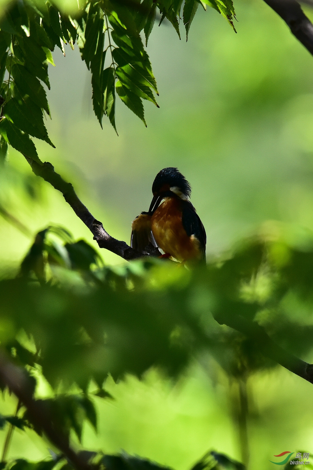 DSC_0778.JPG