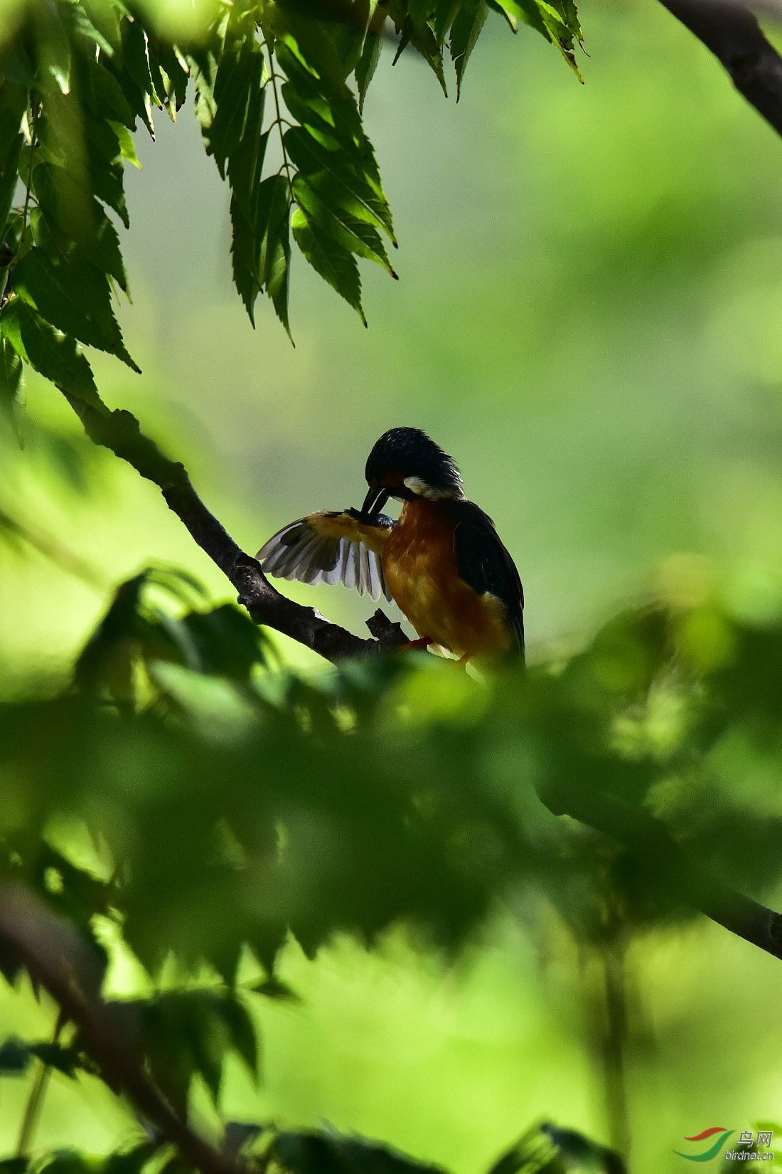 DSC_0780.JPG