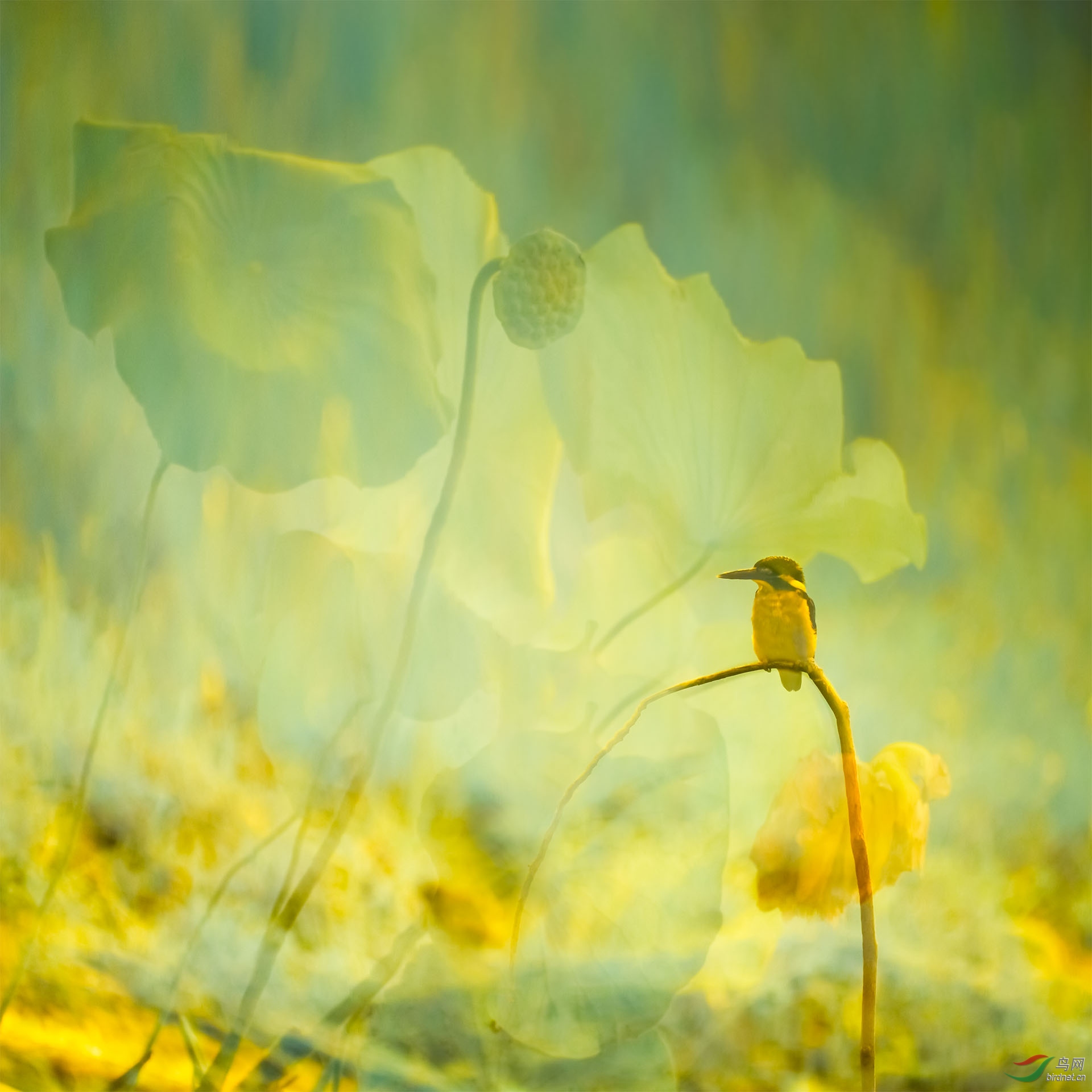 ����һ���λ�С��